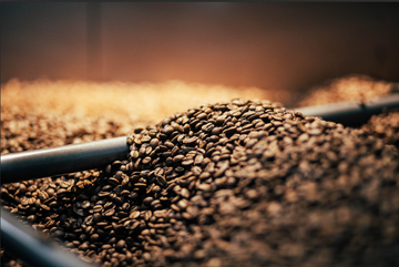 Roasting Coffee with Intention: How Control Shapes Every Cup